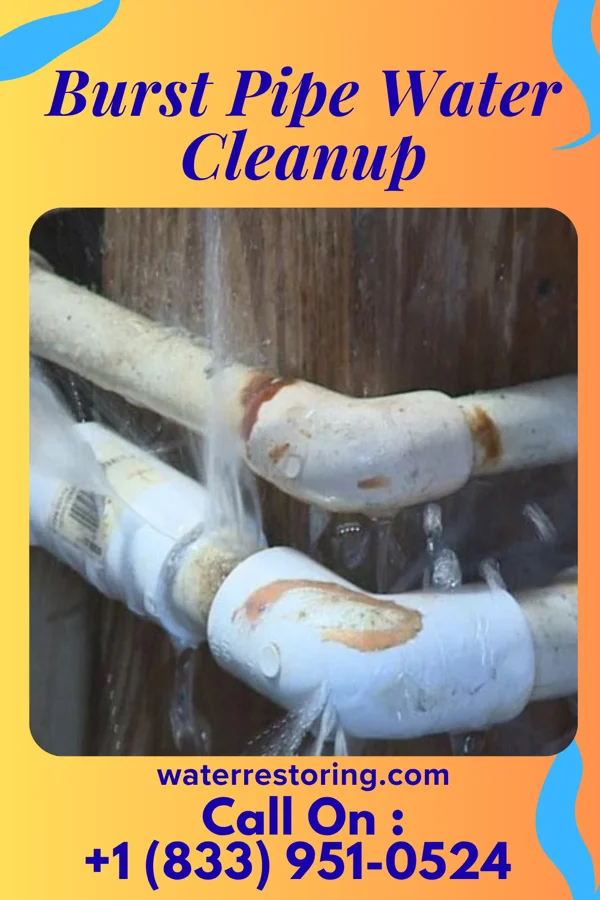 Burst Pipe Water Cleanup in Mount Repose, OH
