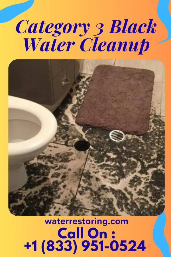 Category 3 Black Water Cleanup in Mount Repose, OH