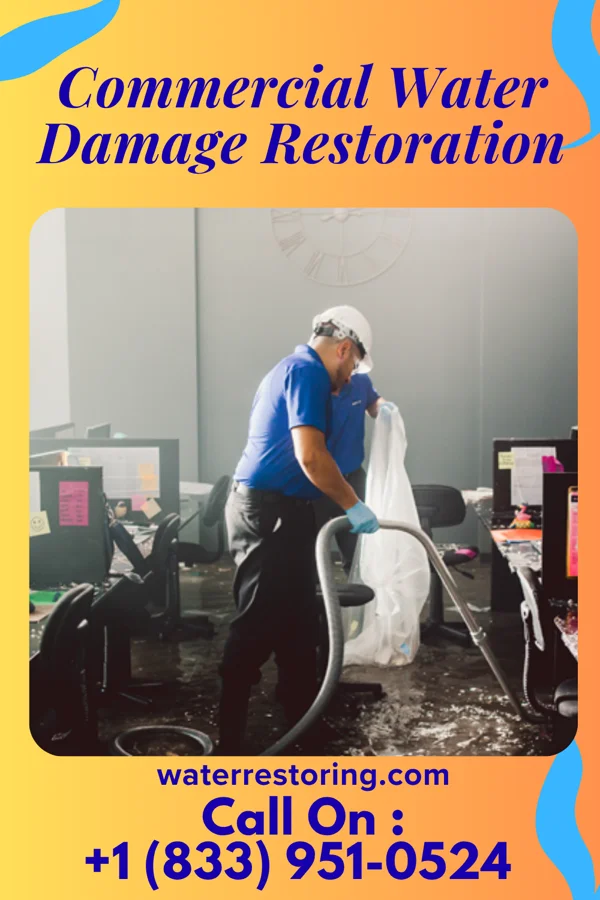 Commercial Water Damage Restoration in Mount Repose, OH