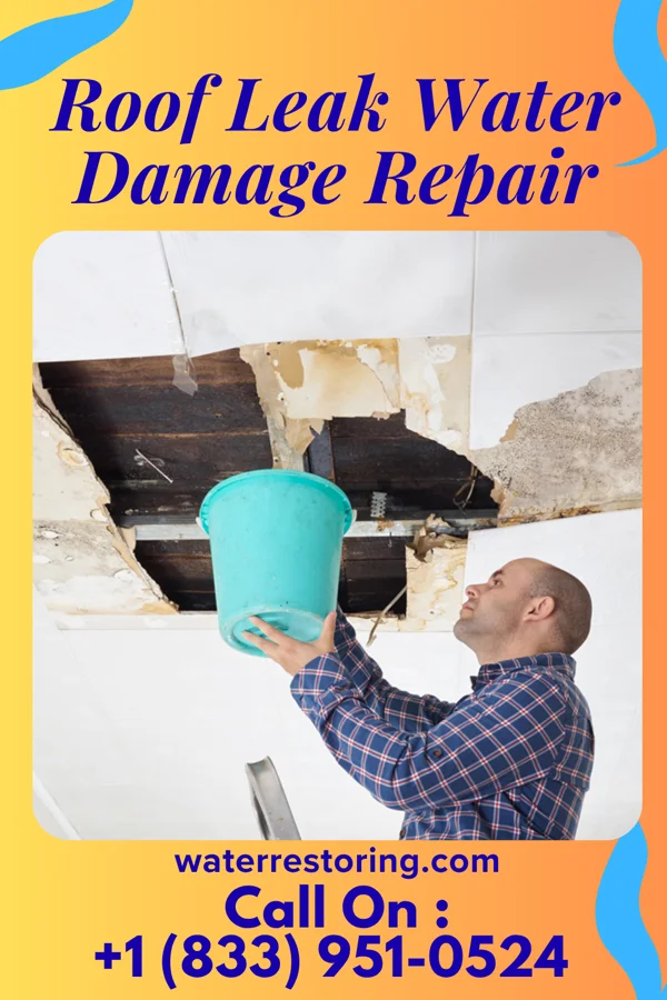 Roof Leak Water Damage Repair in Mount Repose, OH