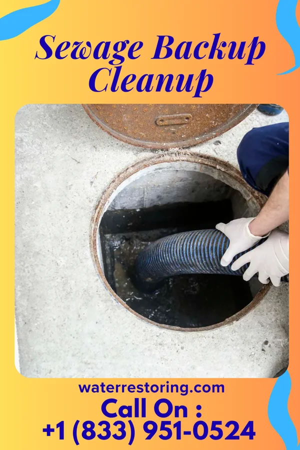 Sewage Backup Cleanup in Mount Repose, OH