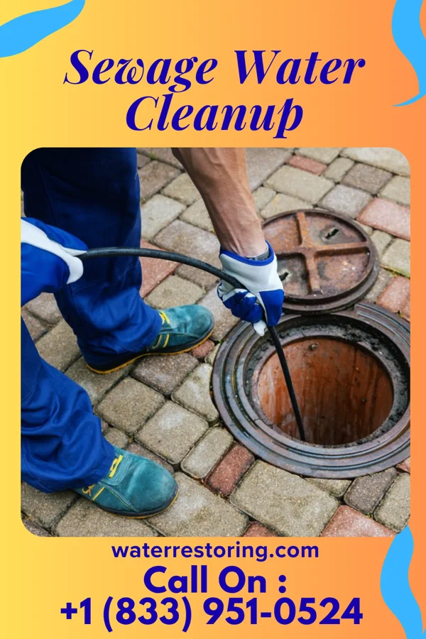 Sewage Water Cleanup in Mount Repose, OH