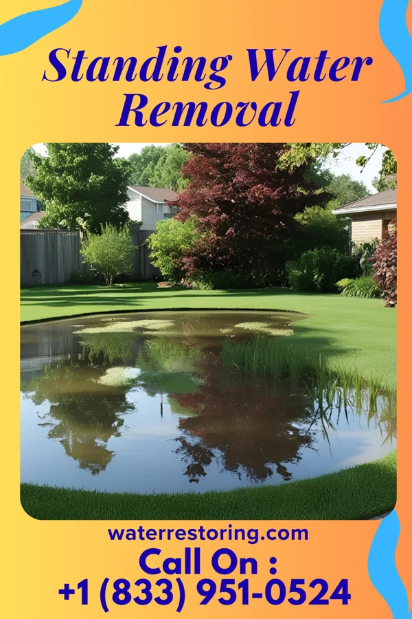 Standing Water Removal in Mount Repose, OH